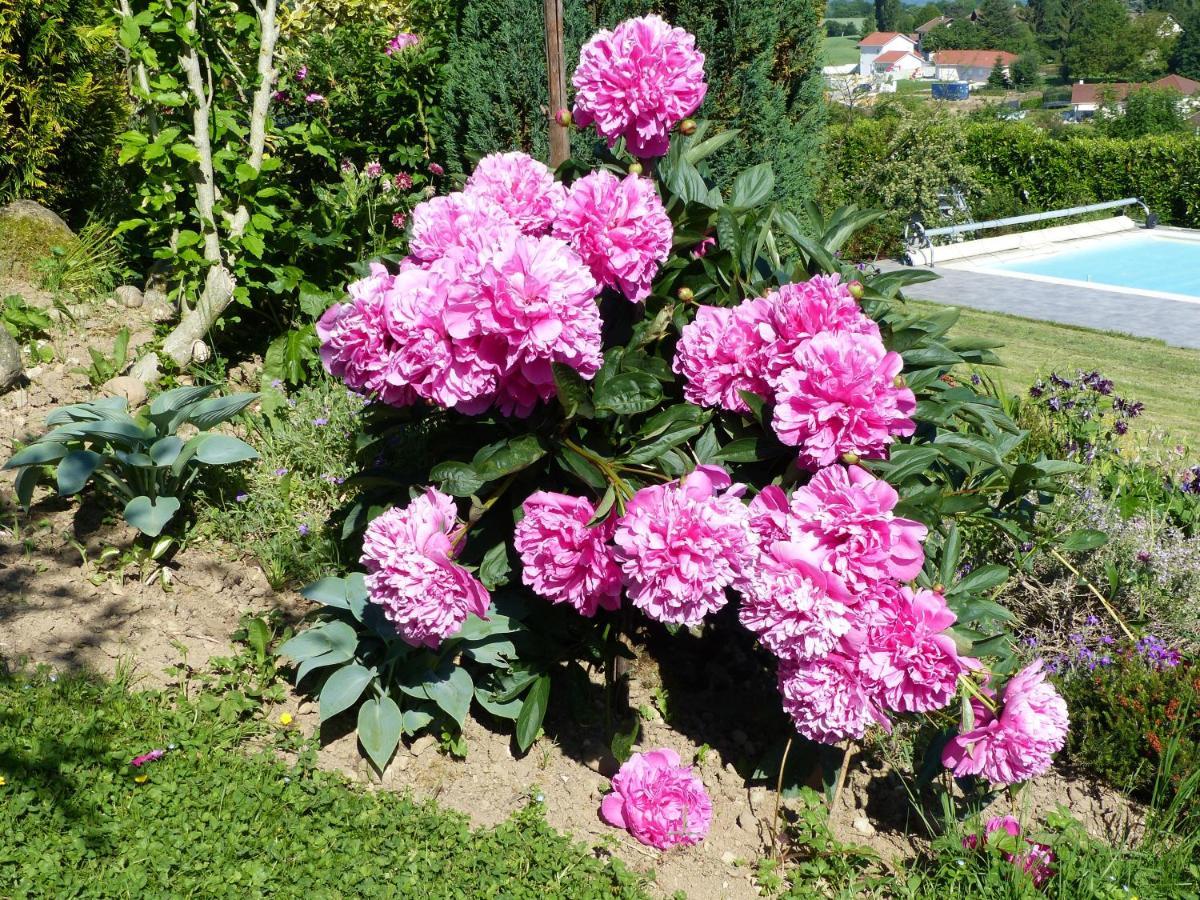 Bed and Breakfast Les Enselmes Montagnieu  Zewnętrze zdjęcie